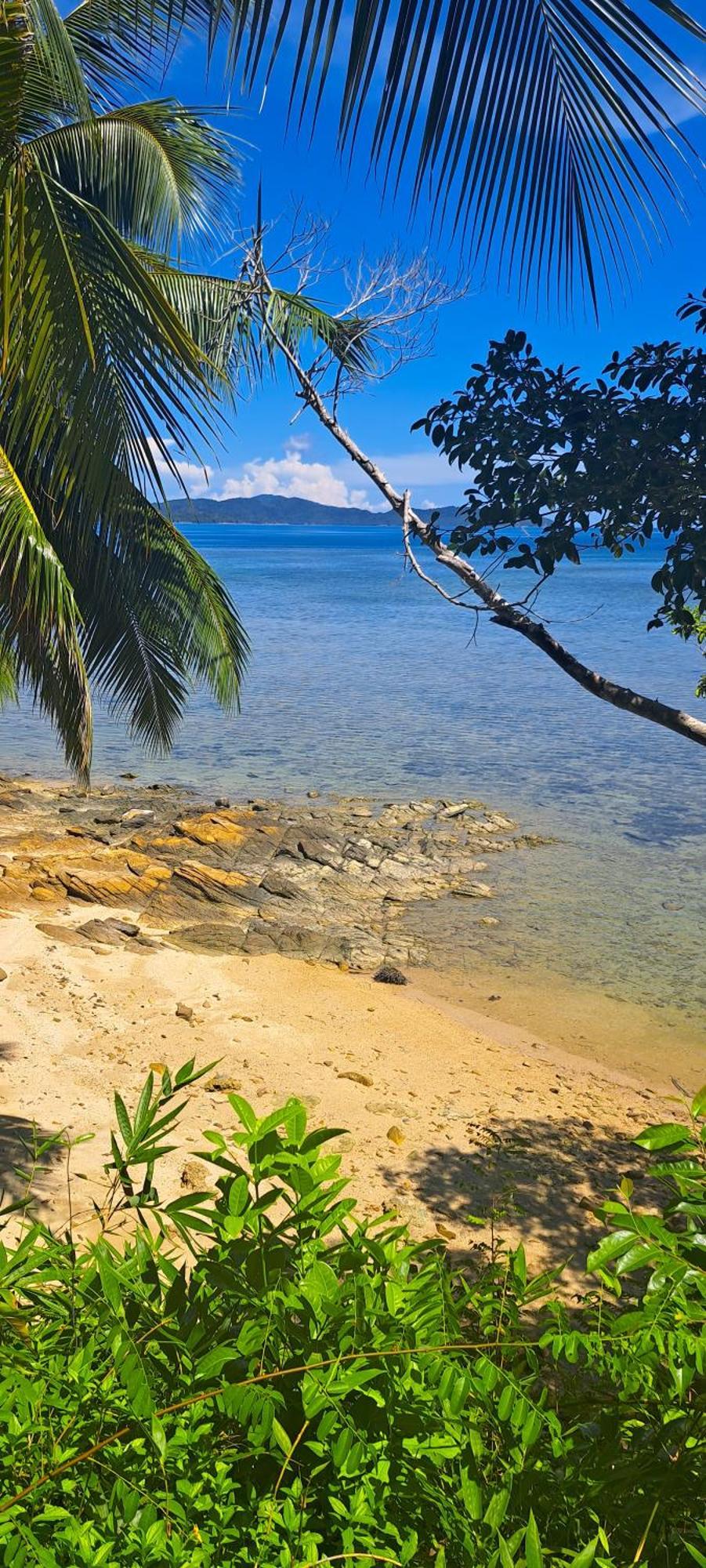 The View - Jungle Lodges - Port Barton 圣维森特 外观 照片