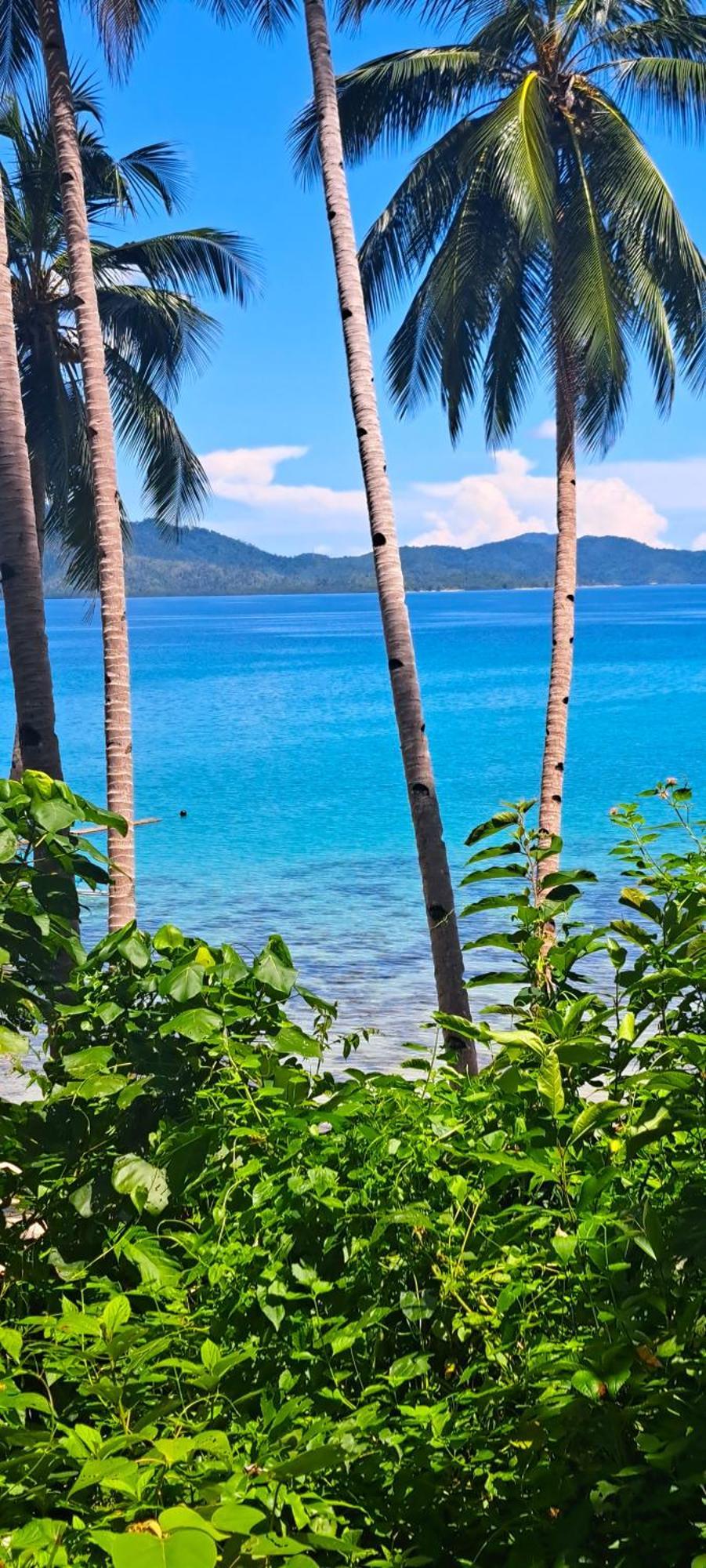 The View - Jungle Lodges - Port Barton 圣维森特 外观 照片