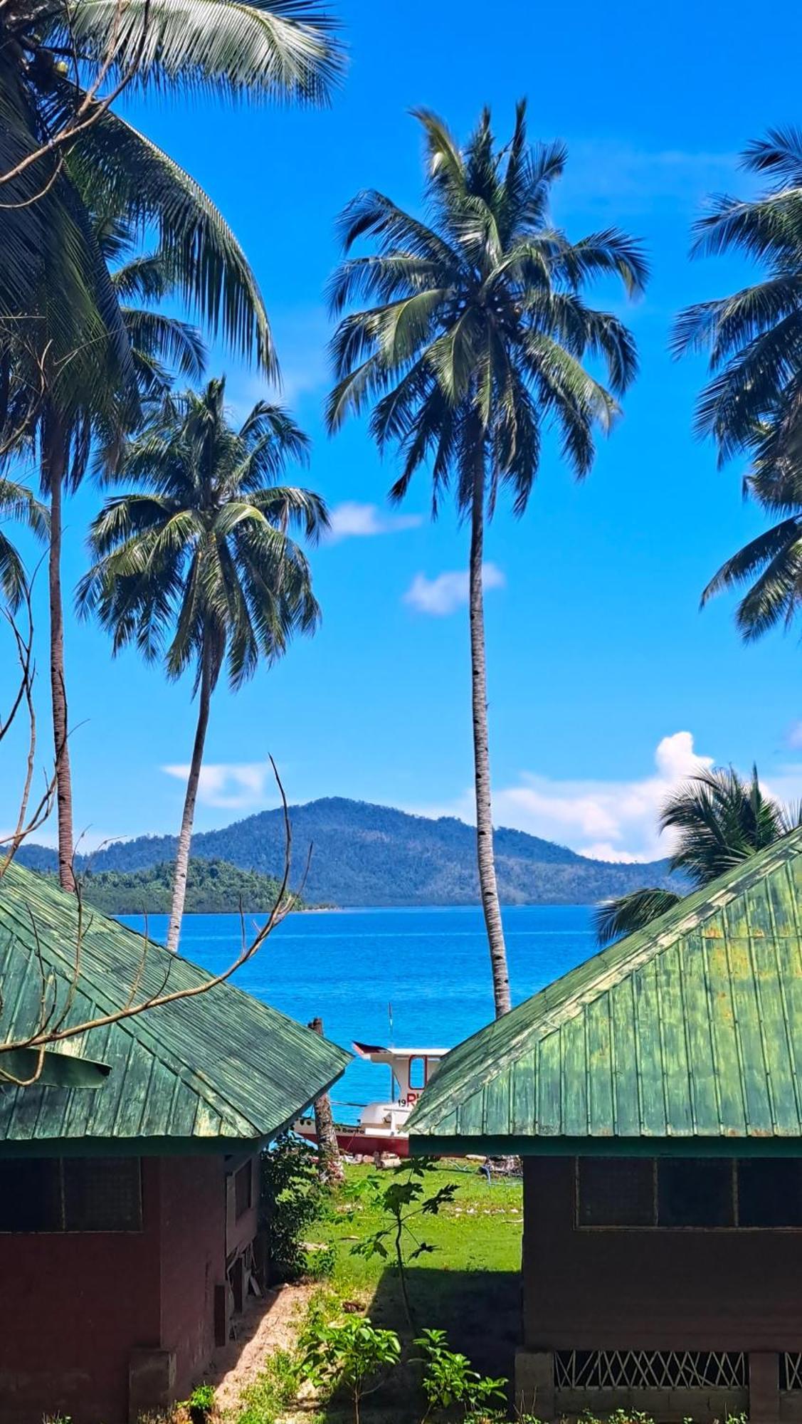 The View - Jungle Lodges - Port Barton 圣维森特 外观 照片