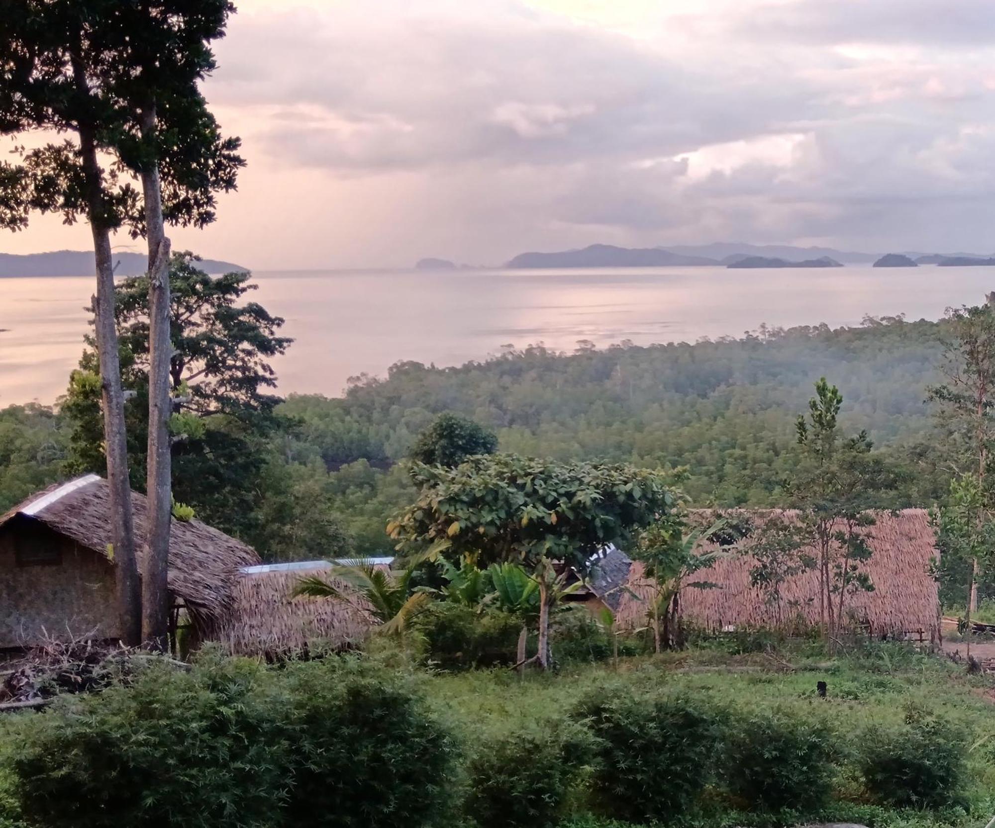 The View - Jungle Lodges - Port Barton 圣维森特 外观 照片